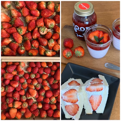 みんなの投稿の画像