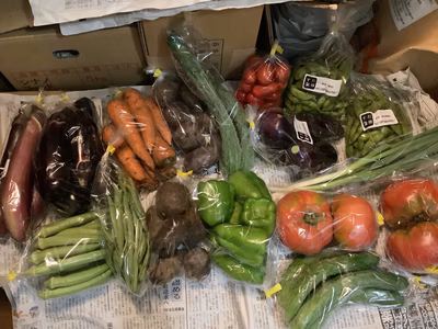 みんなの投稿の画像