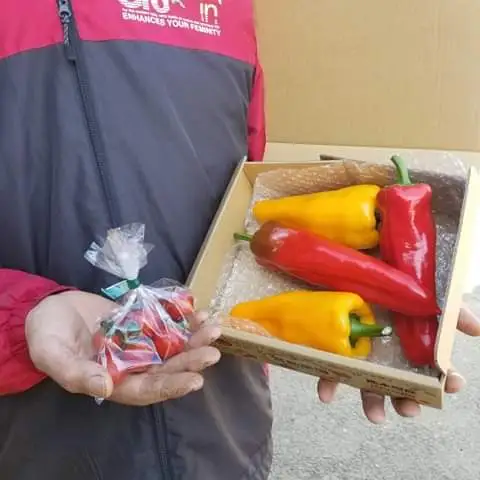 【希少】真冬のフルーツパプリカ(おまけ付き)とGABA(トマト)の２箱セット