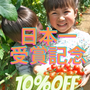 【日本一受賞記念・10%off】出汁の旨味濃厚ミニトマト・農カード付