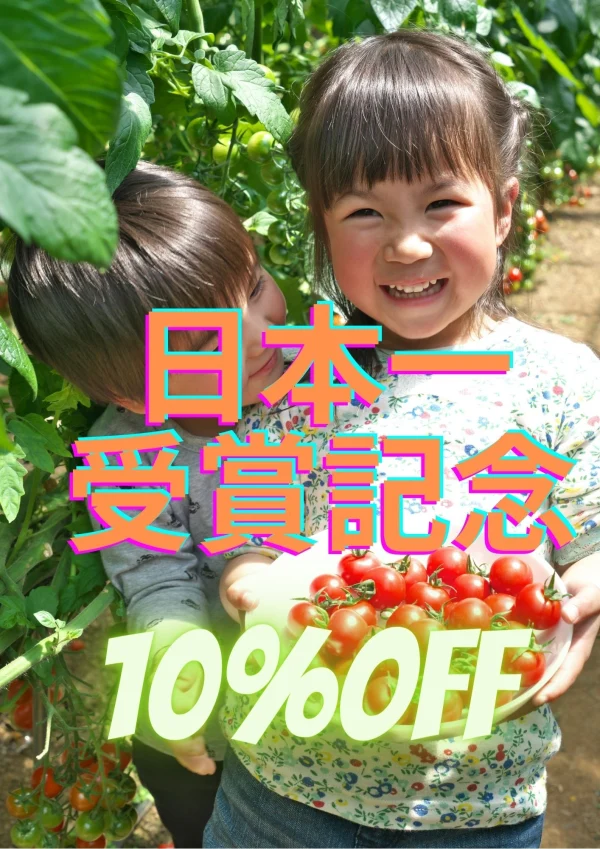 【日本一受賞記念・10%off】出汁の旨味濃厚ミニトマト・農カード付