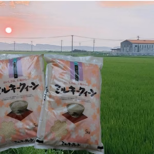 ミルキークイーン5キロ×2