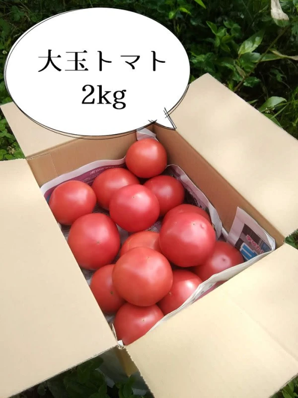 農薬・化学肥料不使用　甘いだけじゃイヤ！トマト好きのための大玉トマト（クール便）