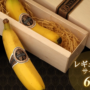 【福袋2022】皮まで食べても安心安全！宮崎県川南産の農薬不使用バナナ6本セット