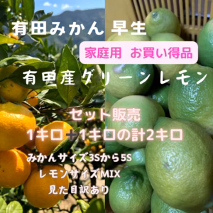 有田みかん 有田産グリーンレモン みかんとレモン1キロずつ 計2キロセット販売