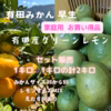 有田みかん 有田産グリーンレモン みかんとレモン1キロずつ 計2キロセット販売
