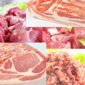 5品Vセット《白金豚》ロース&バラ塊肉＋ スライス小間& 角小間& 挽肉 五種詰