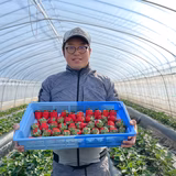 碓氷大樹 | うすいイチゴ農園