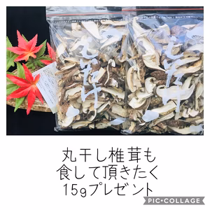 天然原木栽培　スライス干し椎茸100g 2袋＋おまけ丸干し椎茸15gプレゼント
