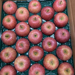 秀品サンふじ5キロ20-25玉入り　贈答用あまり！
