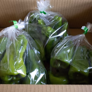 しんしん農園　露地栽培　ピーマン　甘み　旨み　3袋入り