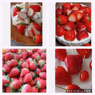 みんなの投稿の画像