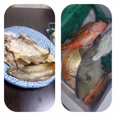 みんなの投稿の画像