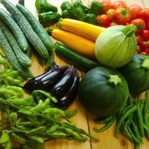 夏の露地野菜セット(Sサイズ）【肥料、農薬不使用】