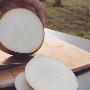 【PREMIUM】旬の梨!!発送時期に合わせ朝採れた最高の品をお届け