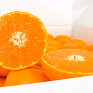 【百貨店で1400箱売れるドルチェみかん】”完熟マルチ栽培”早生みかん