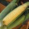 生でも食べれるとうもろこし【味来】&ミネラル栽培枝豆【豆王】