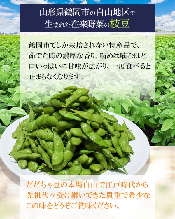 令和6年8月下旬発送❗本場白山産 だだちゃ豆(白山)1.5㎏｜野菜の商品