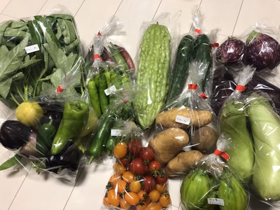 みんなの投稿の画像