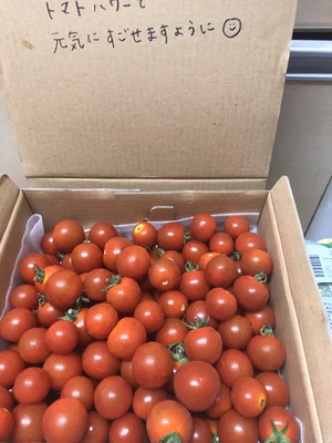 みんなの投稿の画像