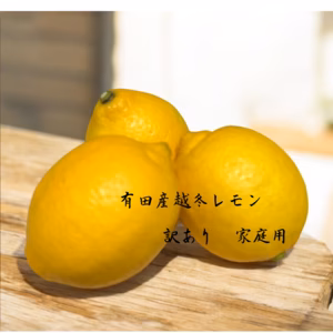 越冬レモン　有田産レモン レモン  超減農薬 訳あり 和歌山 お買い得品