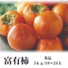 旬の富有柿　個包装　約5kg【ギフト・熨斗対応】