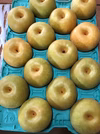 幸水梨 8月上旬～ 2,5キロ箱化粧箱入り