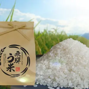 【新米・白米】有機肥料100％・連続特別優秀賞！特別栽培米コシヒカリ飛騨う米