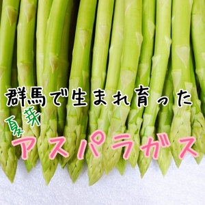 　夏芽アスパラガス　800g(Mサイズ500gと訳ありアスパラ300g)