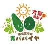 【しゃきしゃきサラダに❗️】東京青パパイヤ４キロ（農薬不使用）