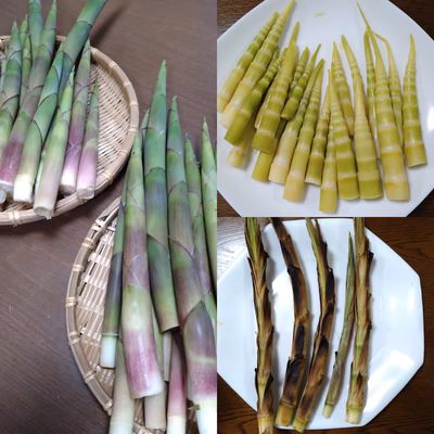 みんなの投稿の画像