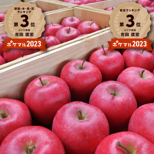 平均糖度15度超え】青森県産りんご「樹上完熟葉とらずふじ」贈答用【12