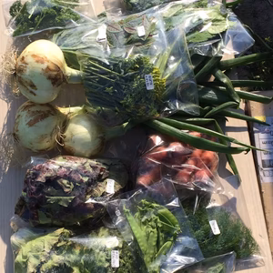 [農薬 化学肥料不使用] 淡路島極早生玉ねぎ3キロ プラスお野菜セット