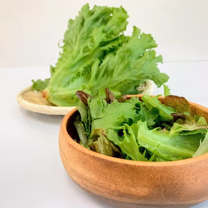 植物工場産　農薬:栽培期間中不使用　フリルレタス