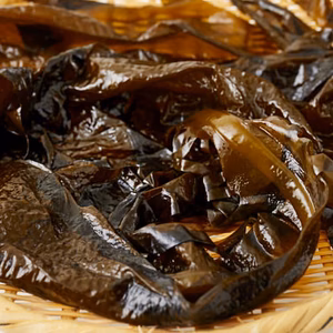 ☆新芽☆養殖生ワカメ☆鮮度抜群・唐房漁師直送☆1月16日～発送致します‼️