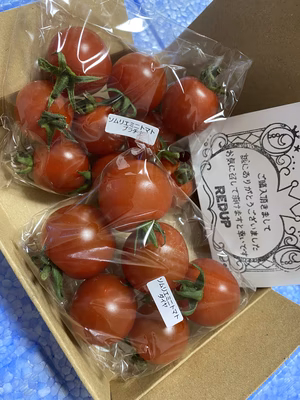 みんなの投稿の画像