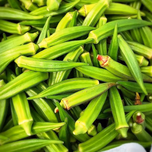 朝採れ！高知県産オクラ！+3色オクラ 1kg