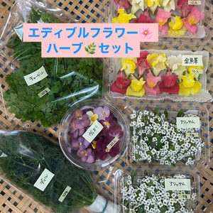 エディブルフラワー&ハーブ　詰め合わせ
