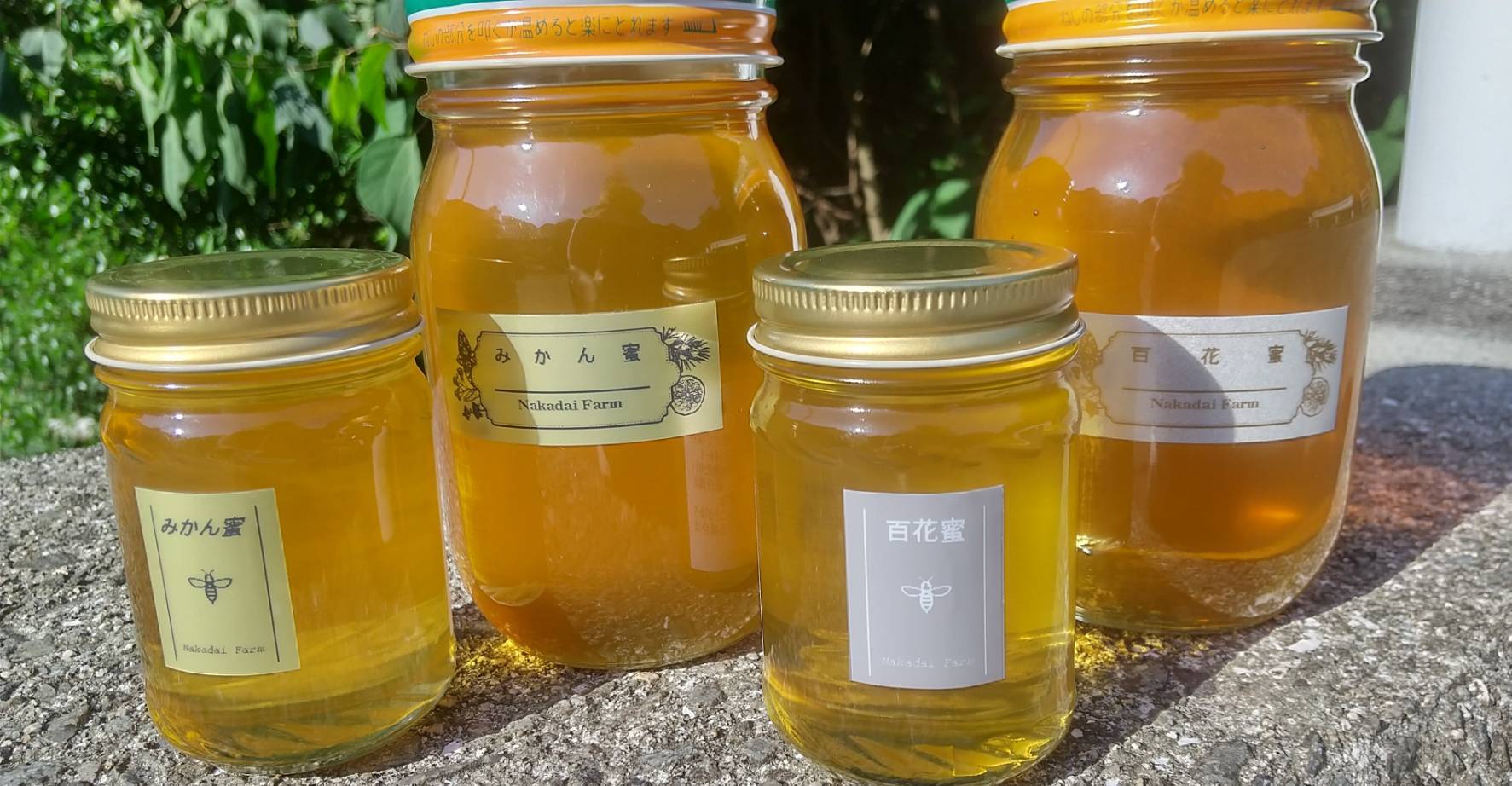 おまけつき国産春蜜900グラム天然非加熱生はちみつ蜂蜜ハチミツ