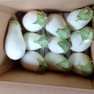 白ナス