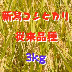 今だけ特別価格！ 希少な 従来品種！新潟県産 コシヒカリ 3kg こしひかり