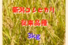 今だけ特別価格！ 希少な 従来品種！新潟県産 コシヒカリ 3kg こしひかり