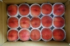 福島県桑折町の桃 旬の品種おまかせ 5kg（12～22玉）
