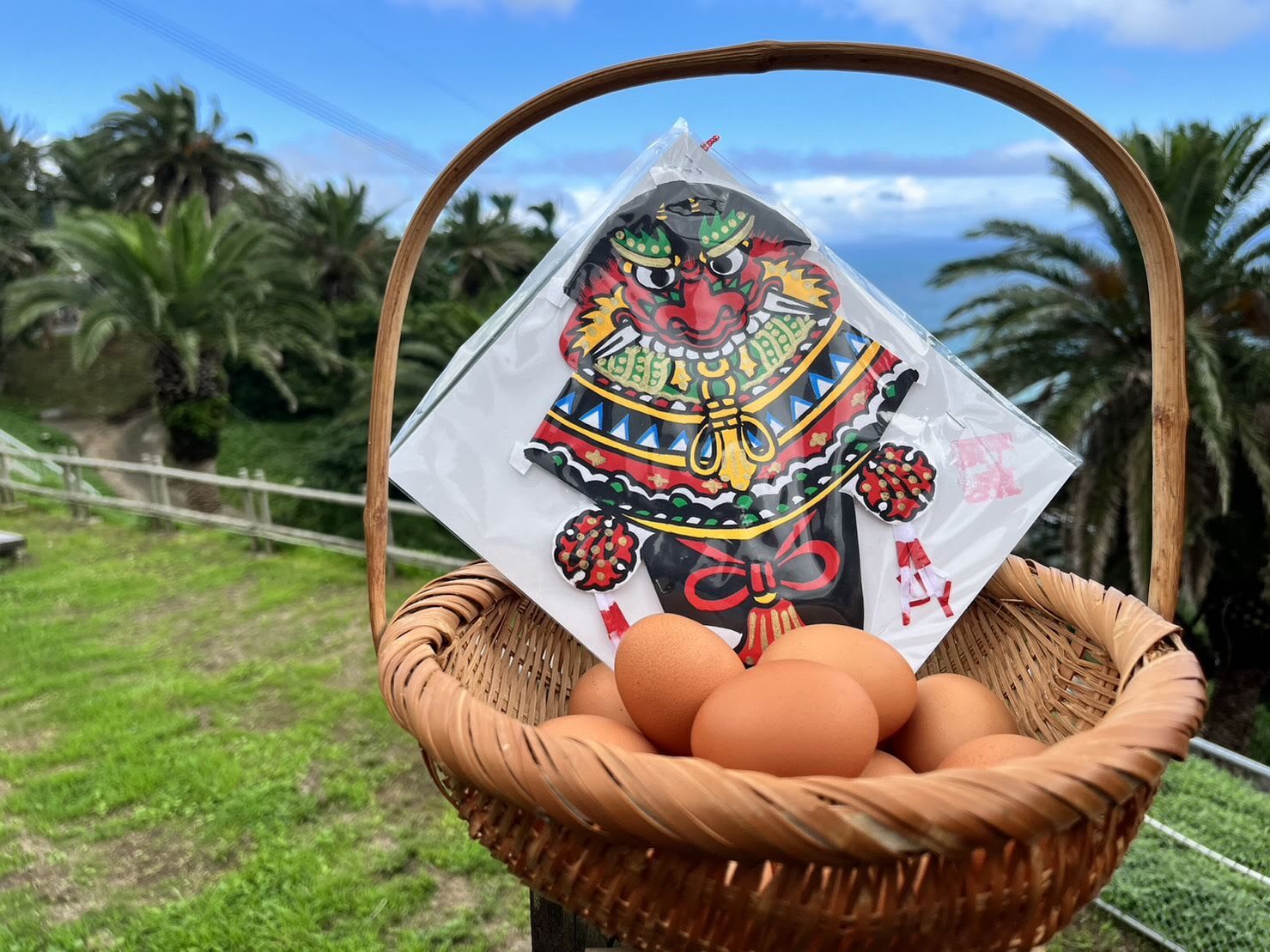 五島の恵みたまご・農場から直送！新鮮ぷりぷり卵♪｜卵の商品詳細