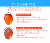 【夏ギフト】樹上完熟　燦々マンゴー（沖縄県産）優品　＜７月〜８月上旬発送＞