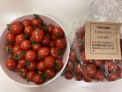 みんなの投稿の画像