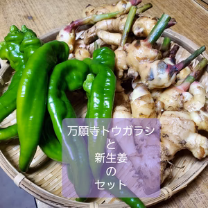 京の伝統野菜万願寺唐辛子と新生姜のセット