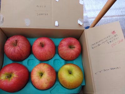 みんなの投稿の画像