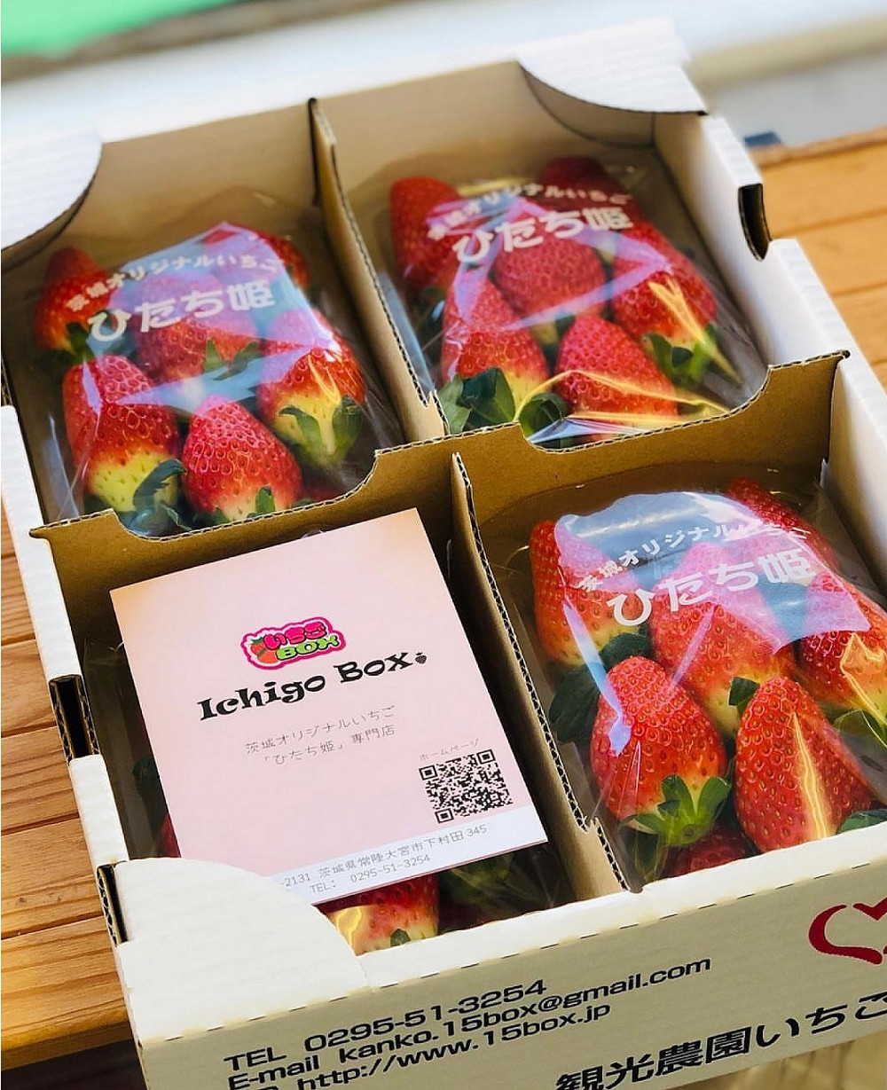 茨城県常陸大宮市｜いちごBOX｜早川和也さんの生産者プロフィール