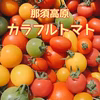 那須高原産カラフルトマトのマルシェ（10種以上・1.2㎏）